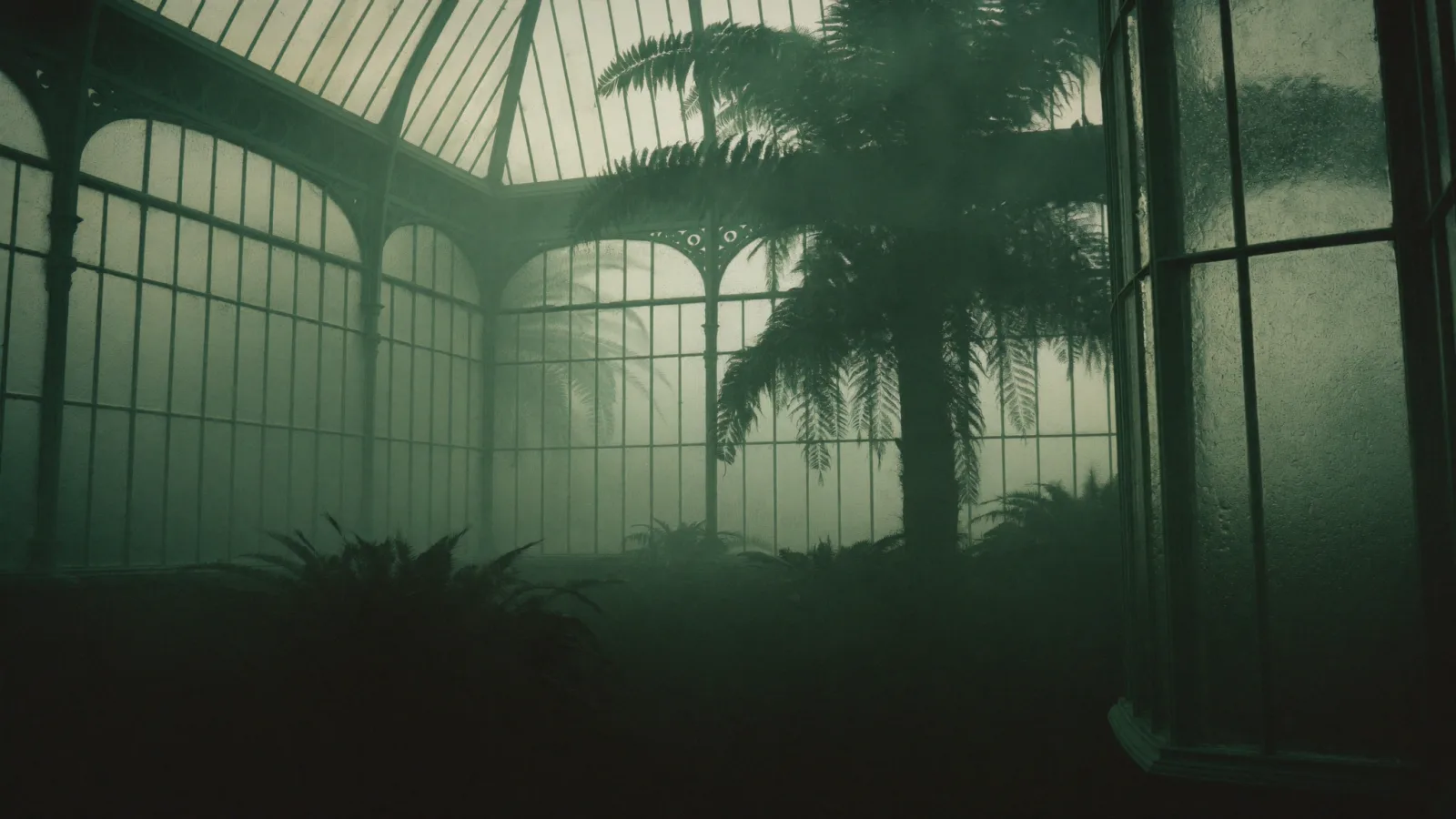 Fog-filled interior of the Palmhouse: verdigris iron ribs receding into pale mist, ghost fronds barely visible